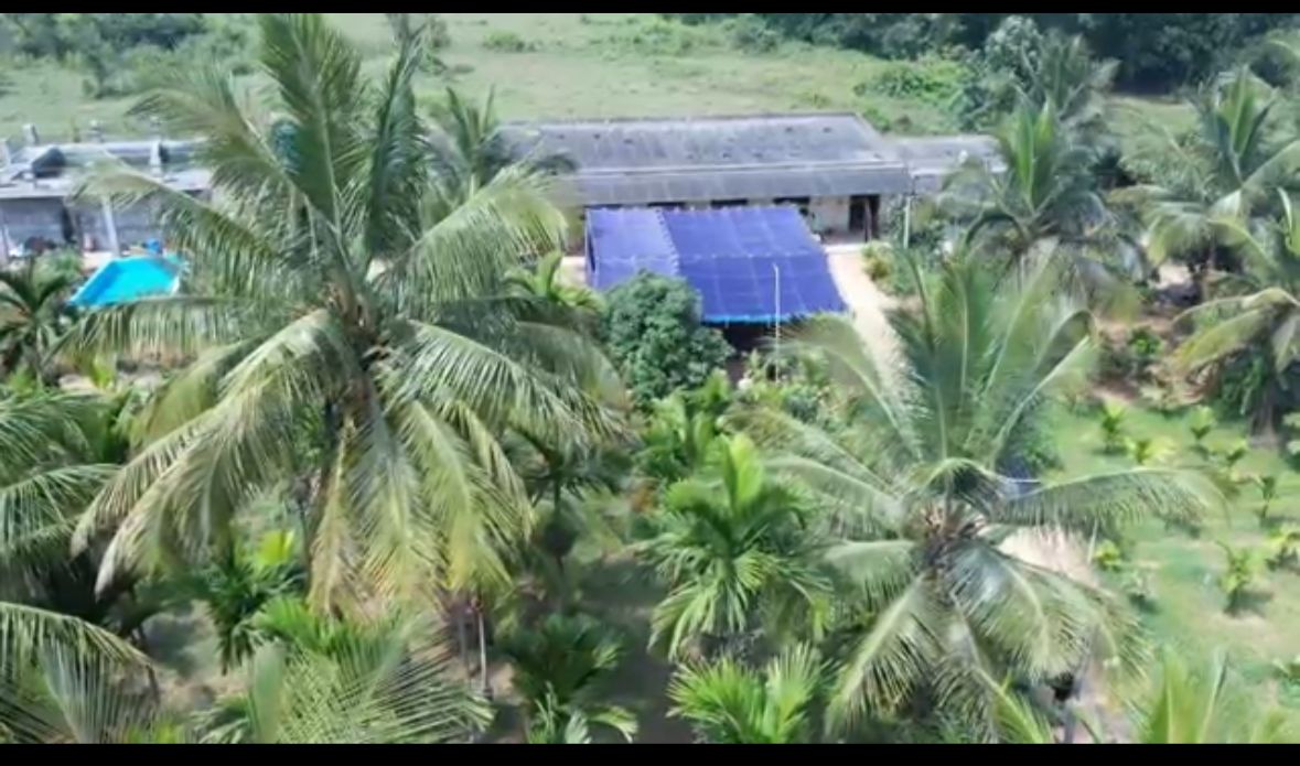 Farm Land for Sale – Near Shivaganga Hills (Between Nelamangala & Dabaspet)